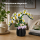 Mould King Klocki konstrukcyjne Bonsai z orchideą 1014 el. zestaw 24108 - 1551638 - zdjęcie 2